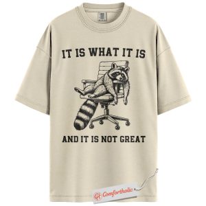 It Is What It Is Raccoon Shirt, Funny Lazy Trash Panda T-Shirt, Sarcastic Work Humor Tee, Exhausted Animal Meme Graphic Comfort Colors Shirt