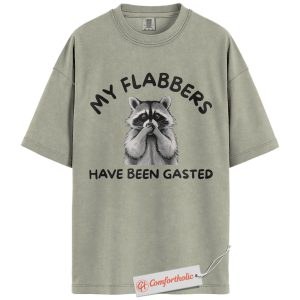 My Flabbers Have Been Gasted Shirt, Funny Raccoon Meme Shirt, Shocked Animal Tee, Sarcastic Humor T-Shirt, Cute Wildlife Comfort Colors Shirt