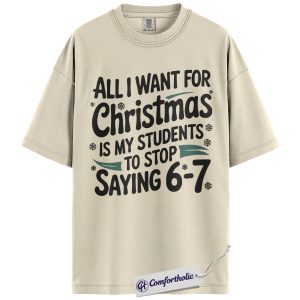 Funny Teacher Christmas Shirt, Math Teacher Holiday T-Shirt, Classroom Humor Graphic Tee, Christmas Gift for Teachers, Christmas Comfort Colors Shirt
