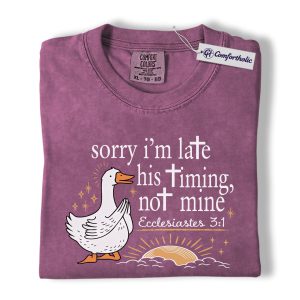 Sorry I’m Late His Timing Not Mine Shirt, Cute Christian Goose Graphic Tee, Ecclesiastes 3:1 Bible Verse T-Shirt, Faith Gift for Women, Comfort Colors Shirt